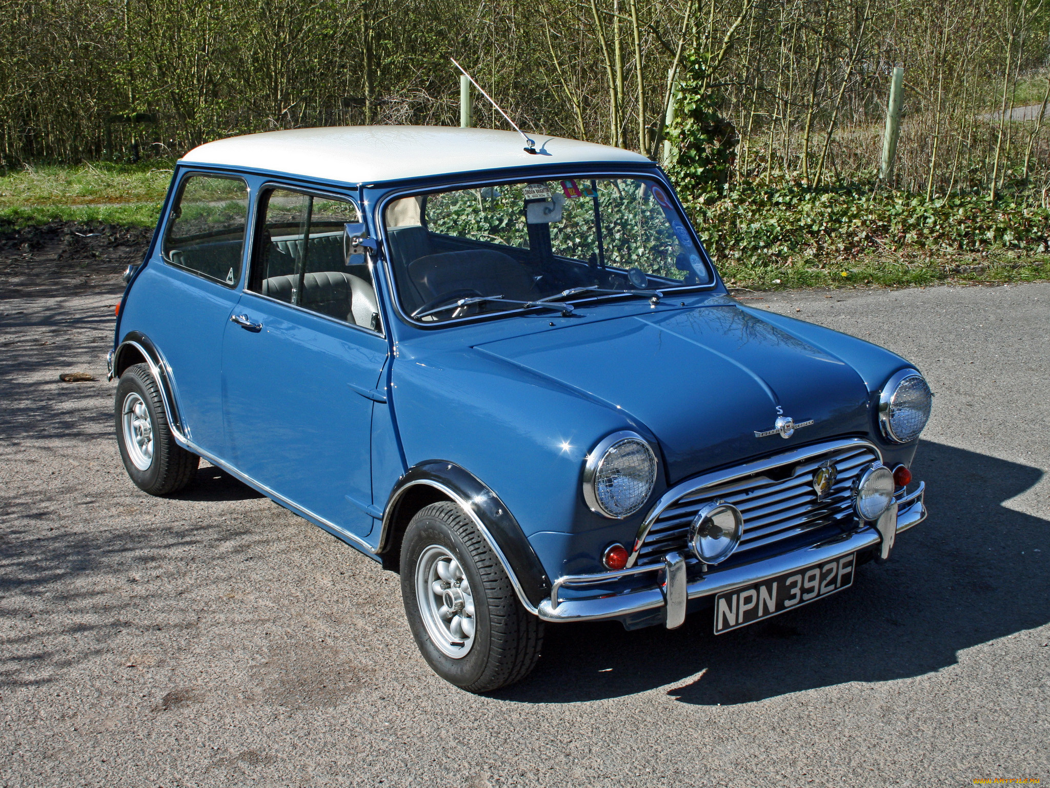 , mini